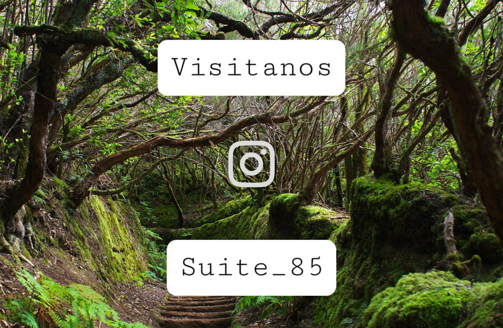 Suite 85, Villa Boutique Privada Con Piscina Icod De Los Vinos Buitenkant foto