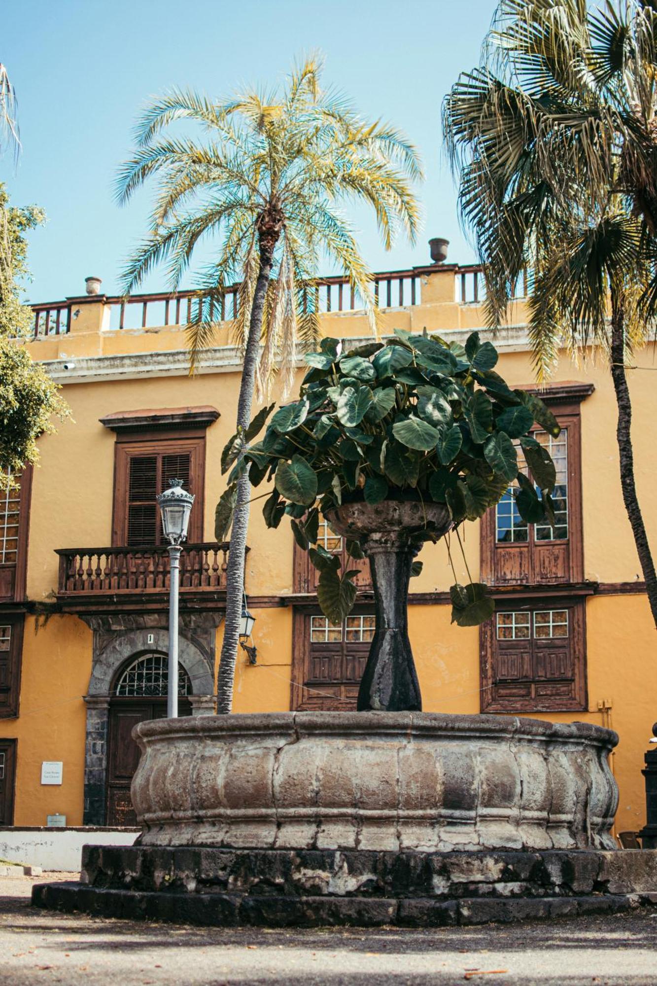 Suite 85, Villa Boutique Privada Con Piscina Icod De Los Vinos Buitenkant foto